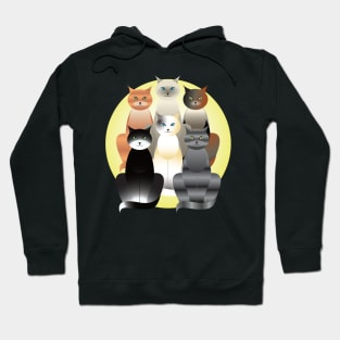 Cats of many colors Hoodie